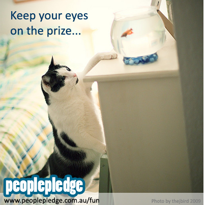Keep Your Eye On The Prize- How To Reach Your Fundraising Goal In 30 Days