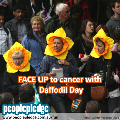 Daffodil Day 2013 By Cancer Council Australia
